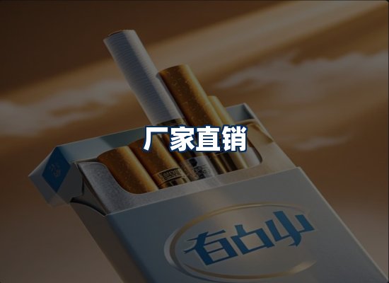 专业团队办公环境